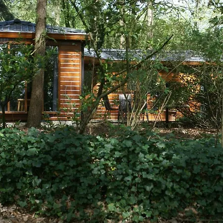 T'bakkersboschje Nummer 8 Chalet Putten