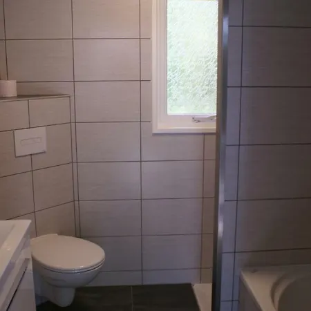 Chalet T'bakkersboschje Nummer 8 Putten