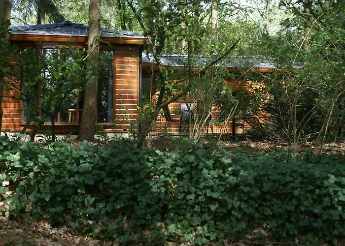 T'bakkersboschje Nummer 8 Chalet Putten