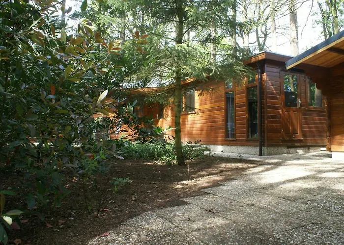 Chalet T'bakkersboschje Nummer 8 Putten