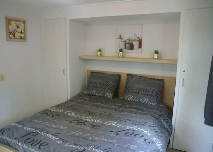 Chalet T'bakkersboschje Nummer 8 Putten