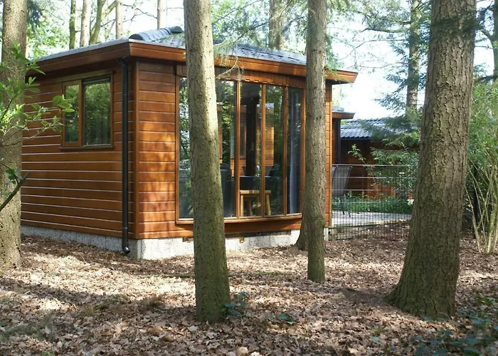 Chalet T'bakkersboschje Nummer 8 Putten